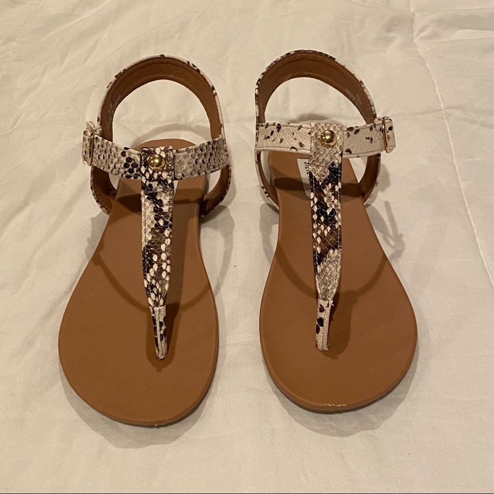 STEVE MADDEN SANDALS